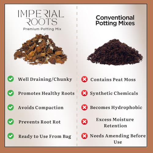Premium Indoor Plant Potting Mix (4qt) – Peat-Free, Well-Draining Soilless Blend for Aroids & Tropical Houseplants with Coco Coir, Biochar & Pumice
