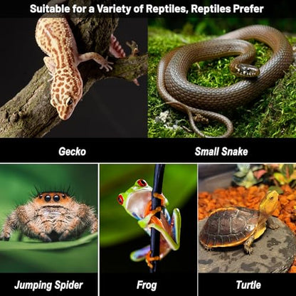 Small Reptile Hide,Gecko Hide Cave,Humid Hideout for Reptiles,With Humidification Groove,Temperature and Humidity Monitor,For Leopard Geckos,Lizards,Frog,Cornsnake-Small & Juvenile 5.51''×3.54''×2.2''