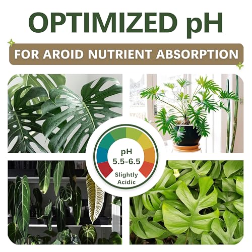 Premium AROID Soil Blend for Monstera, Philodendron, Alocasia, Anthurium – Chunky, Optimally Aerated Soil – Organic & Ready to Use – Supercharges Root and Foliage Growth - (2QTS) - size: 2 QTS