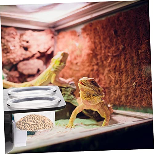 Reptile Feeder with Suction Cup Double Cup Food and Water Bowl for Lizards Geckos Bearded Dragons Easy to Clean and Install Feeding Tool for Crawling Pets