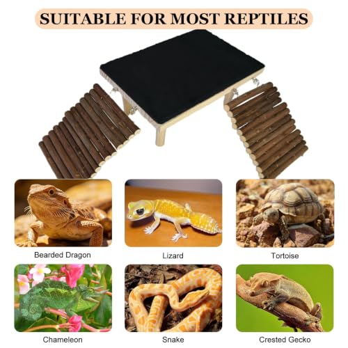 Wooden Bearded Dragon Platform Reptile Basking Platform Climbing with Slate Stone Tank Accessories for Leopard Gecko Lizard Tortoise Snake (Small Applewood) - size: Small(B)