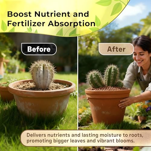 Professional Clay Pebbles for Plants 2.2 Quarts, Expanded Clay Pebbles for Hydroponics, Seedlings, Root Cuttings and Indoor Outdoor Plants, Lightweight Soil Additive, Made in USA - style: Clay Pebbles Soil Additive (2.2 Quarts)