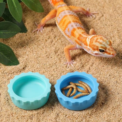 9pcs Crested Gecko Food Dish 1.26inch Silicone Geckos Feeding Cups and Spoons Set Colorful Food and Water Bowl Gecko Tank Accessories for Crested Geckos Hermit Crabtortoise Tarantula Lizard