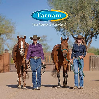 Farnam Apple Elite Horse Electrolytes Powder Supplement, Replaces Vital Minerals, Encourages Hydration, Sugar-Free, Contains Sodium, Potassium, Calcium & Magnesium, Apple Flavored, 5 lb - size: 20 pounds