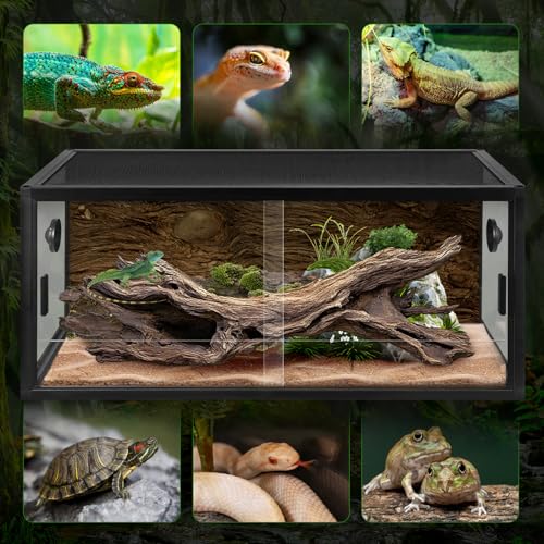Large Front Opening Reptile Terrarium 35x18x18 Inch with Top Screen Ventilation, Ideal Glass Enclosure with Doors for Plant Landscaping and Housing Snakes Lizards Geckos