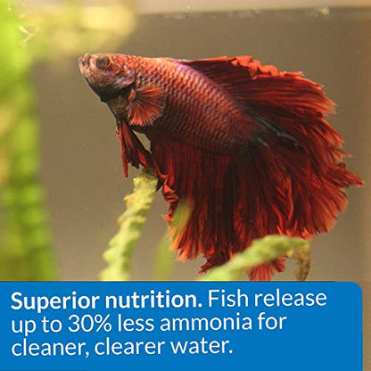 API Betta Food Fish Food Pellet .78-Ounce Container (Pack of 2) - size: 1 Ounce (Pack of 2)