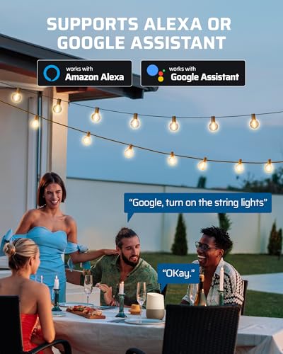 DEWENWILS Outdoor Dimmer for String Lights, Smart Dimmer Plug with Remote, Compatible with Alexa & Google Home, Waterproof, 100FT Range, Remote Dimming for Dimmable LED/Tungsten Bulbs, 2.4GHz Only - style: Smart/WIFI Dimmer