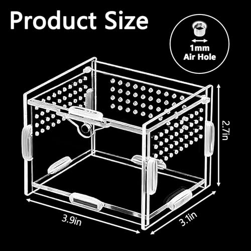 Small Acrylic Insect Terrarium – Mini Insect Enclosure for Jumping Spiders – Clear Acrylic Cage with 1mm Ventilation Holes, Easy Maintenance - size: Small Square Acrylic Terrarium