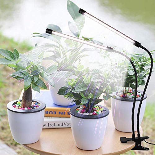 GooingTop LED Grow Light,6000K Full Spectrum Clip Plant Growing Lamp with White Red LEDs for Indoor Plants,5-Level Dimmable,Auto On Off Timing 4 8 12Hrs - size: 49Watts