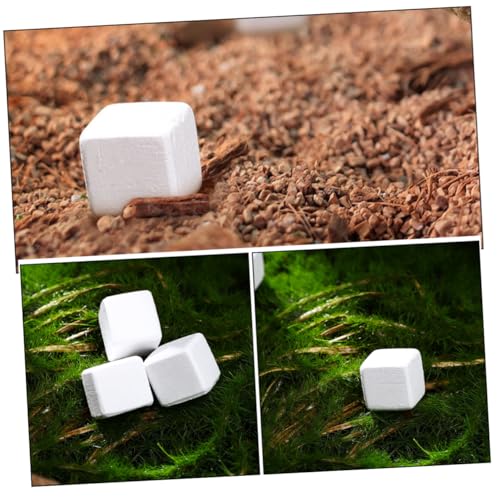 Toddmomy 30pcs Climbing Pet Calcium Block Frog Chameleon Reptiles Amphibian Health Products Frog Chameleon Health Reptiles Turtle Accessories Lizard Mineral White