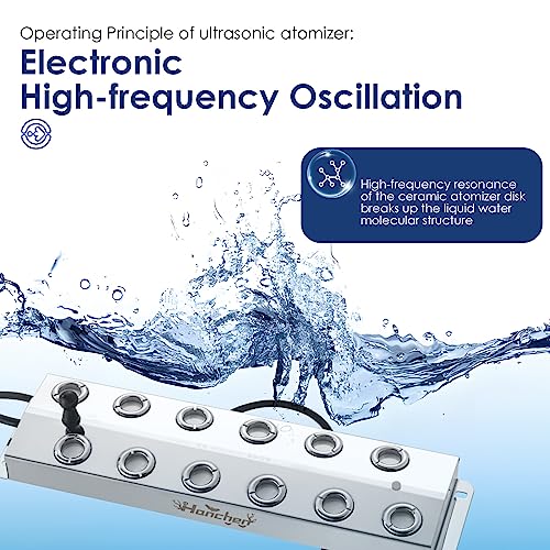 Hanchen Mist Maker 12 Head Ultrasonic Fogger Mist Humidifier Fog Atomizer Halloween Water Fountain Pond 18.7lb/h Large Fog Volume CE Certificate (Mist Maker + Water Resistant Power Supply + Float)