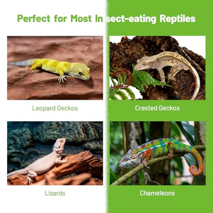 Crested Gecko Food Insect Puree, Hornworm Paste Reptile Food Made with Fresh Insects 2.82oz