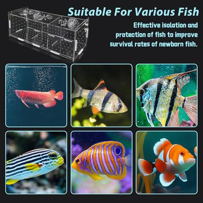 PINVNBY Acrylic Fish Breeding Box，Guppy breeding Box Acrylic Fish Isolation Box Aquarium Incubator with Suction Cups for Guppy Shrimp Small Baby Fishes（3.9 x 3.9 x11.8 in） - size: L(3.9 * 3.9 * 11.8in)