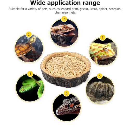 2PCS Reptile Water Dish Food Bowl Set Reptile Feeder Food and Water Dish with Feeding Tweezers Tong for Leopard Gecko Lizard Frog Snake Chameleon Tortoise (Style 2) - color: style 2