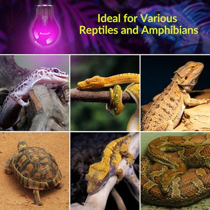 Lustaled Reptile Heat Lamp Bulbs-75W Reptile Night Heat Bulb E26 Terrarium Heat Lamp Simulate Natural Moon Purple Light for Snake Bearded Dragon Leopard Gecko Lizard Chameleon Tortoise -2Pack