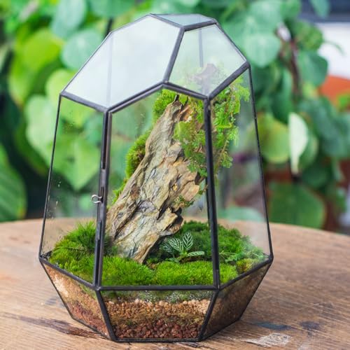 NCYP Close Geometric Glass Terrarium with Door - 9.8 inches Tall Irregular Planter for Succulents, Small Cacti, Modern Home Garden Tabletop Decor, Black, Handmade (Plants NOT Included) - size: 7.9x6.9x9.8inches