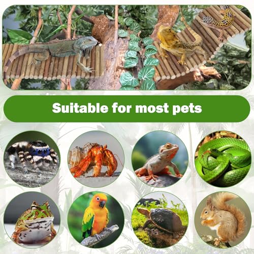 QUOZUO Bearded Dragon Tank Accessories, 3pack Reptile Habitat Hammock Natural Seagrass and Natural Wood Bendable Bridge for Climbing, Hermit Crab, Lizard, Mice, Spiders, Turtle, Snake