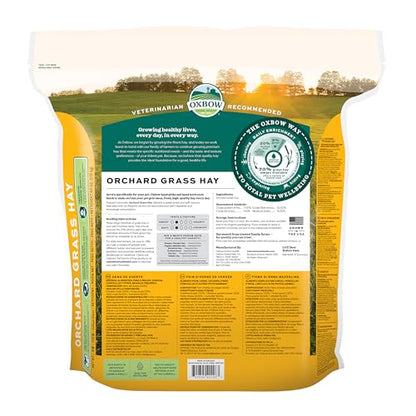 Oxbow Orchard Grass Hay for Small Pets – All-Natural Long Strand Fiber Hay for Rabbits, Guinea Pigs, Chinchillas, and Hamsters – Supports Digestive Health and Enrichment – 40 oz Bag - size: 40 Ounce (Pack of 1)
