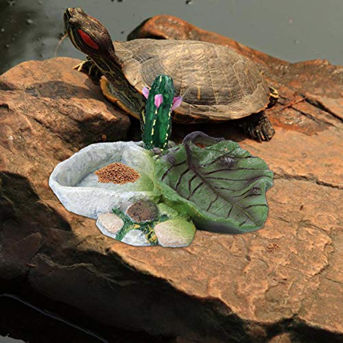 POPETPOP Reptile Water Dish: Cactus Shape Resin Reptile Feeding Dish for Bearded Dragon, Lizard, Spider