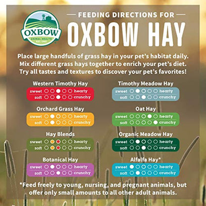 Oxbow Orchard Grass Hay for Small Pets – All-Natural Long Strand Fiber Hay for Rabbits,Guinea Pigs,Chinchillas,and Hamsters – Supports Digestive Health and Enrichment-– 40 oz Bag,(Pack of 2) - size: 40 Ounce (Pack of 2)
