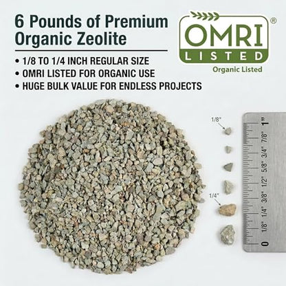 Zeolite Regular 6 lbs, Clinoptilolite 1/8"–1/4" (3–6 mm), Soil Amendment for Succulents, Bonsai & Plants, Improves Drainage and Moisture Balance, Decorative and Aquarium Use - style: Regular - 6 lbs