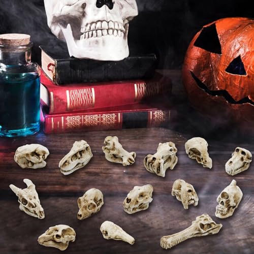 14 Pcs 1.5 Inch Mini Resin Animal Skull Heads Miniature Animal Skull Figurines Mini Halloween Skulls Mini Skull Figurine Miniature Skulls for Crafts Halloween Christmas Micro Landscape Decor