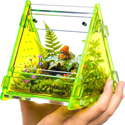 Triangular Jumping Spider Enclosure, Acrylic Terrarium with Magnetic Doors, 0.8mm Micro-Ventilation& Escape-Proof Design for Tarantulas, Lizards, Small Pets (Green,3.5”x3.5”x3.5”) - size: 1Pack, Green,3.5”x3.5”x3.5”