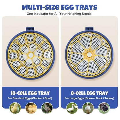 Nest III - 18 Egg Incubator for Hobbyists, Dual-Size Egg Trays, Multi-Level Adaptive Humidity & Temp Control, Custom Incubation Days, Auto Turning & Auto Stop, Integrated Digital Display, Candler - size: 18 Egg [Blue]