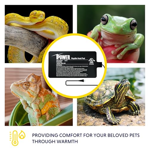 iPower 4 by 7-Inch 4W Reptile Heat Mat, LCD Digital Aquarium Thermometer, Under Tank Warmer Terrarium Heat Pad for Turtles Lizards Frogs and Other Small Animals, Multi Sizes - size: 4 X 7 Inch, style: Pad + Thermometer