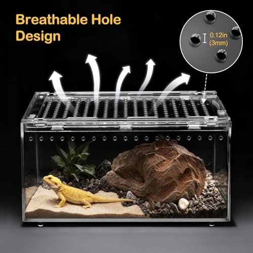 PC Small Reptile Terrarium Starter Kit,Magnetic Jumping Spider Enclosure