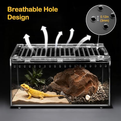 PC Large Reptile Terrarium Starter Kit,Magnetic Jumping Spider Enclosure,Hermit Crab Tank,Arboreal Tarantula Cage for Praying Mantis,Frog Vivarium