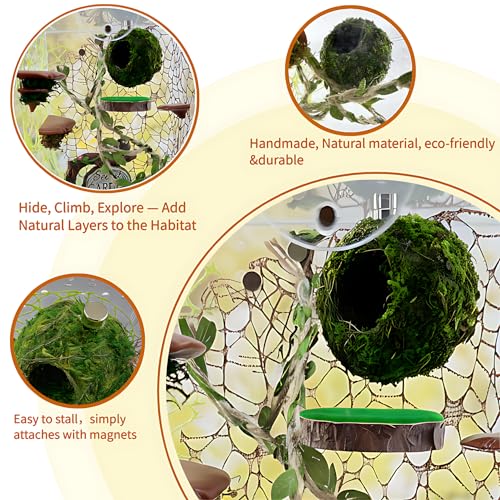 Jumping Spider Hideout, Habitat Decor— Handmade Moss Hideout & Hemp Rope Bridge, Fun Enclosure Accessories for Climbing & Hiding