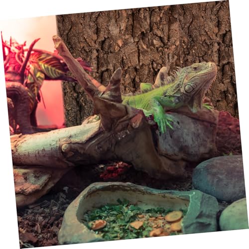 2 Pcs Cork Bark Aquarium Decoration for Fish Tank Ornament Natural Tree Trunk Terrarium Background and Climbing Bark Reptile Habitat Decor for Snake and Gecko Fade Resistant Fish