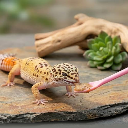 9 Pack Crested Gecko Food Dish & Spoons, Silicone Gecko Feeding Cups Reusable Small Reptile Food and Water Bowl Gecko Tank Accessories for Hermit Crabtortoise Tarantula Lizard, 7 Colors