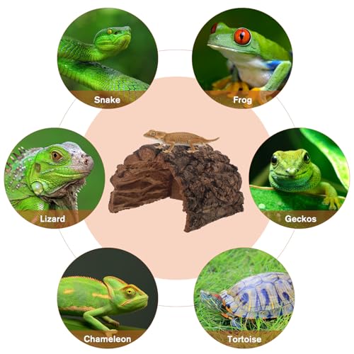 Reptile Hide Cave - Natural Cork Bark Lizard Hideout - Arched Tree Bark Tunnel for Gecko Turtle Snake Hermit Crab Climbing and Resting 6x7'' - size: 18.00X15.50X12.00CM