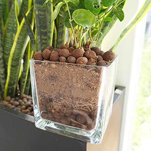 Leca Expanded Clay Pebbles 5LBS Grow Media for Indoor Plants Hydroponic Growing Gardening System Supplies … - size: 5LBS