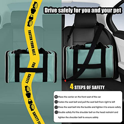 Cat Dog Carriers Soft-Sided Pet Carrier Large Cats for Medium Big Cat Small Dog Puppy up to 16lbs TSA Airline Approved Animal Collapsible Cat Carrier Carriers Travel Carrier Cat Bag (17x11x11) - color: green, size: 17.0"L x 11.0"W x 11.0"H