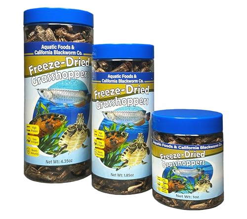 Grasshoppers, Freeze Dried Grasshoppers for Large Tropical Fish, Monster Fish, Reptiles, Turtles, Tortoises, Frogs, Hamsters, Birds, Rodents 1.0oz Canister - size: 1 Ounce (Pack of 1)