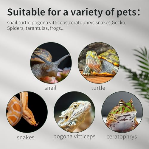 Reptile Glass Tank 16"x11"x9" Terrarium with Top Opening and Screen Ventilation for Leopard Gecko,Lizard,Hermit Crab,Snake,Spider,Frog,Bearded Dragon,Turtle with Feeding Tongs - size: 16*11*9inch