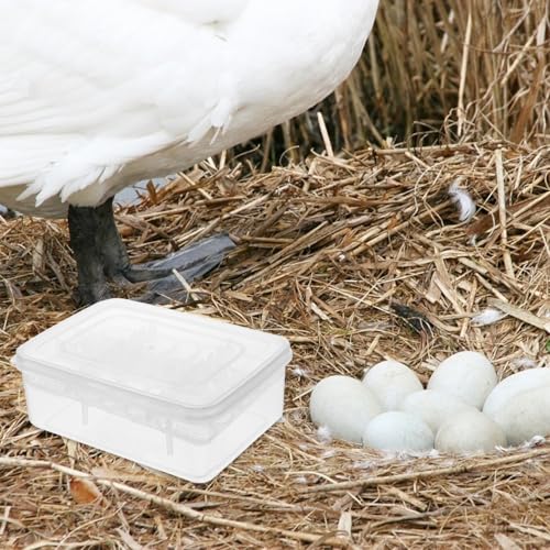Reptile Egg Incubator Tray 16 Compartments Transparent Hatchery Box for Tortoise Lizard Snake Breeding 6.57 X 4.84 X 2.36 in 2-Pack