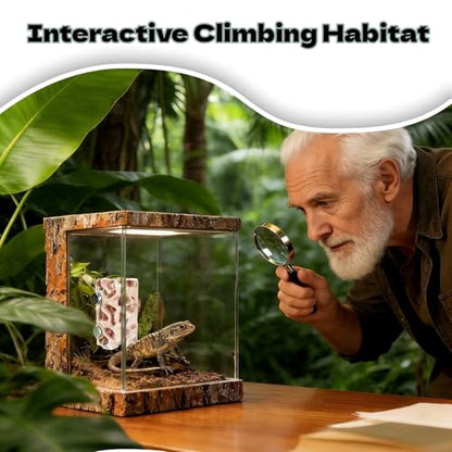 Jumping Spider Habitat - Magnetic Pet Hiding Shelter with Clear Climbing Walls, Secure Ventilated Design for Geckos, Frogs & Amphibians | Terrarium & Vivarium Decoration