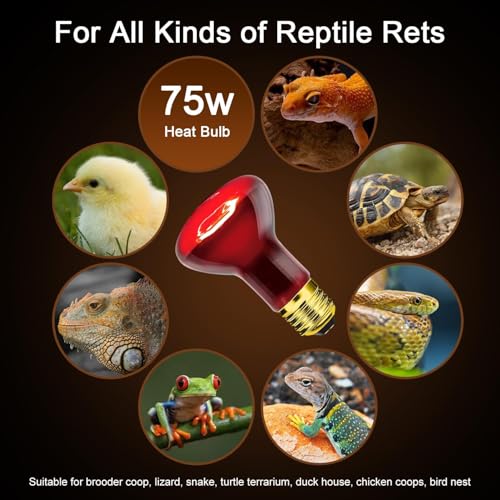Reptile Heat Lamp 75W, Heat Lamp Bulbs for Reptiles and Amphibians, UVA Daylight Basking Light Suitable for Bearded Dragons, Lizards, Turtles, and Chickens (2 Pack) - style: Infrared Basking Light Bulb 75W