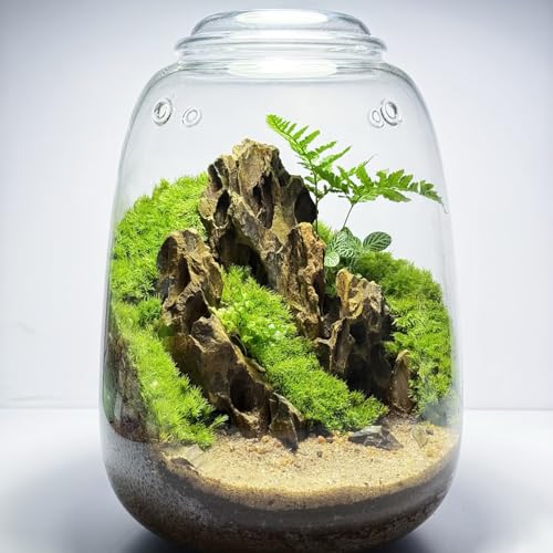 Natural Rocks Dragon Stone 1-2.5 Inches Decorative Stones for Terrariums,Miniature,Fairy Gardens,Bonsai,DIY Crafts, Aquariums,Dioramas & Wargaming-2lb - size: 2lb(1-2.5Inch)