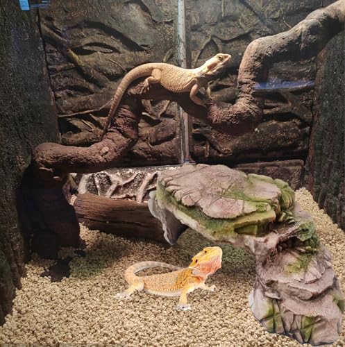 kathson Turtle Basking Platform Resin Bearded Dragon Hides and Caves with Ramp Reptile Resting Terrace Turtle Tank Decorations for Frogs,Tortoise,Lizard,Leopard,Crested Gecko - style: hideout