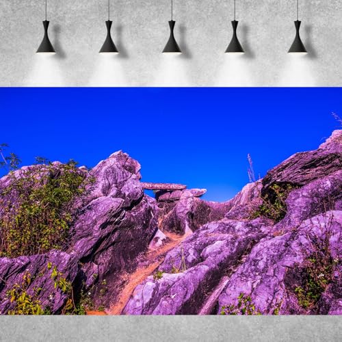 Reptile Habitat Background Blue Sky Rock Mountain Gobi Terrarium Background Eroded Stone Mountains Jungle Plants Aquarium Background Desert Blue Sky Mountain Fish Tank Background Vinyl 24x16in - color: Rock Blue, size: 24(W)x16(H)in