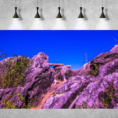Reptile Habitat Background Blue Sky Rock Mountain Gobi Terrarium Background Eroded Stone Mountains Jungle Plants Aquarium Background Desert Blue Sky Mountain Fish Tank Background Vinyl 24x16in - color: Rock Blue, size: 24(W)x16(H)in