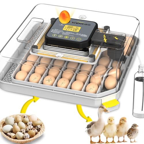 Incubators for Hatching Eggs Egg Incubator for Lab Home Farm with Automatic Egg Turning for Chicken, Ducks, Goose, Quail 48 Eggs - color: Black, size: 48 eggs