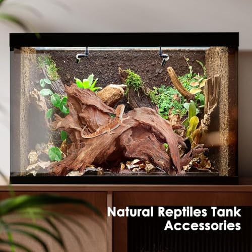 Jorewood Natural Aquarium Driftwood for Fish Tanks & Reptile Terrariums – Safe Fish Tank Decorations, Unique Twisted Branches 3-Piece 7-11 Inch Low Tannin, Easy to Sink - size: Mopani Driftwood 7 to 11 Inch (Pack of 3)