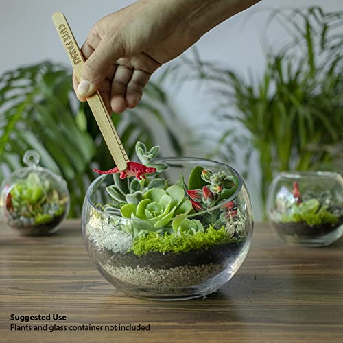 Cute Farms Terrarium Starter Kit | Moss, Vermiculite, Soil, Pebbles, Plant Food, & Finishing Tools (Large Kit + Crystals) - size: Large Kit + Crystals