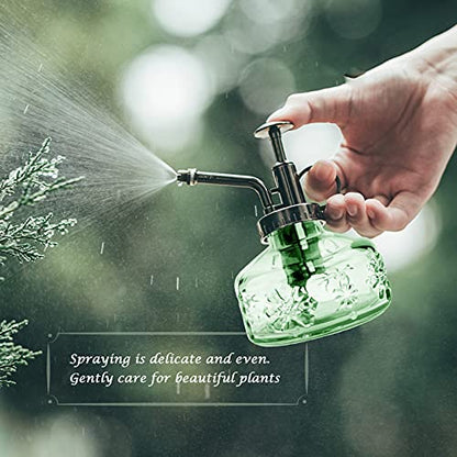 XXXFLOWER Glass Plant Mister Spray Bottle for Indoor Plant Spritzer Succulent Watering Bottle - color: Green